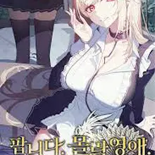 팝니다. 몰락영애. 한 번도 안 쓴.