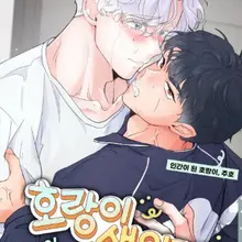 호랑이 생일 떡